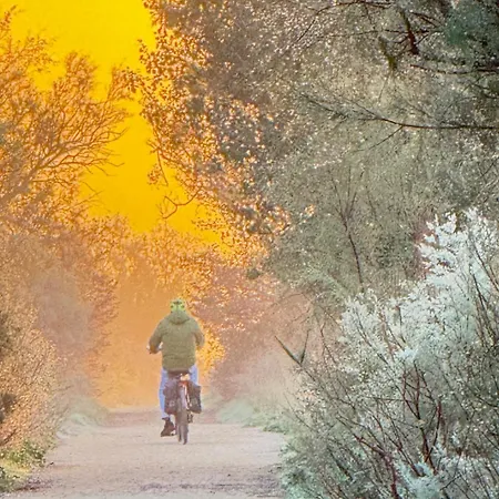 La Bella Lola Estartit أولاستارتيت