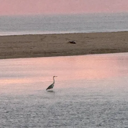 La Bella Lola Estartit * أولاستارتيت